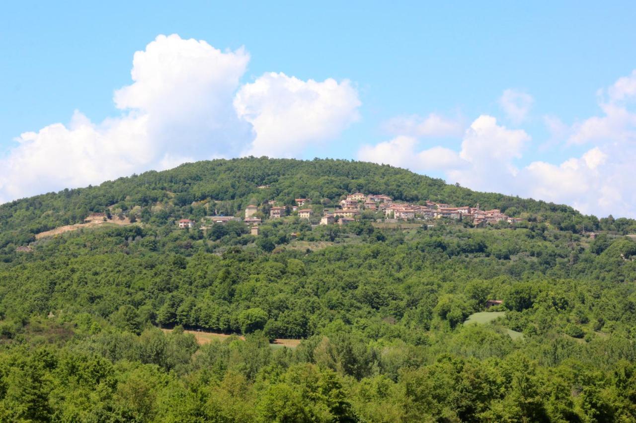 Agriturismo La Via Dell'Oliviera Ciciano Exterior foto
